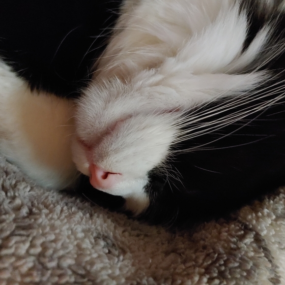 Lazy TV day๐๐บ ๐ - Picture 8 of 16